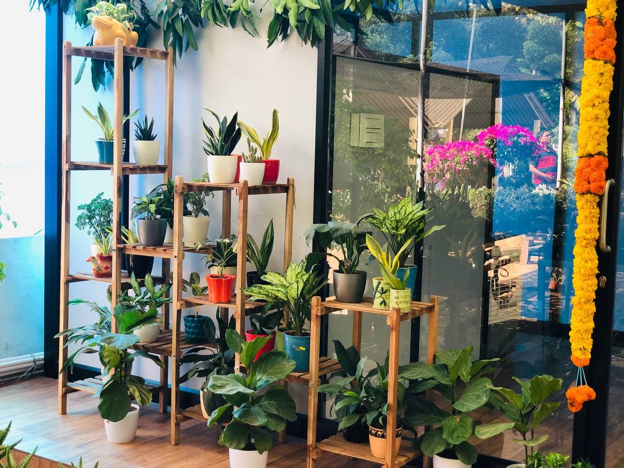 Plant Care